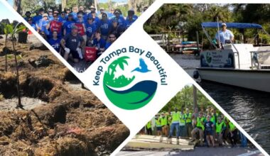 Keep Tampa Bay Beautiful Grows Greener Future With Volunteers And Trees