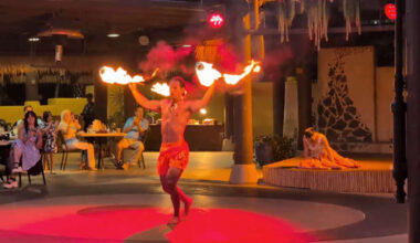 The sights of Paradise Nights at Discovery Cove