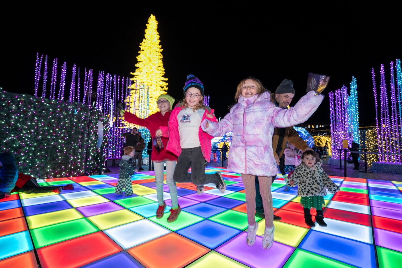 Enchant Las Vegas 2025 - Dance Floor.jpg