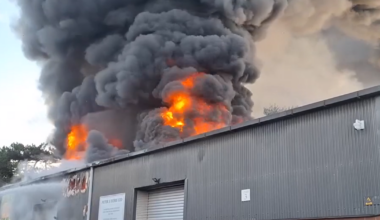 Fire destroys mini-zoo, killing all animals inside