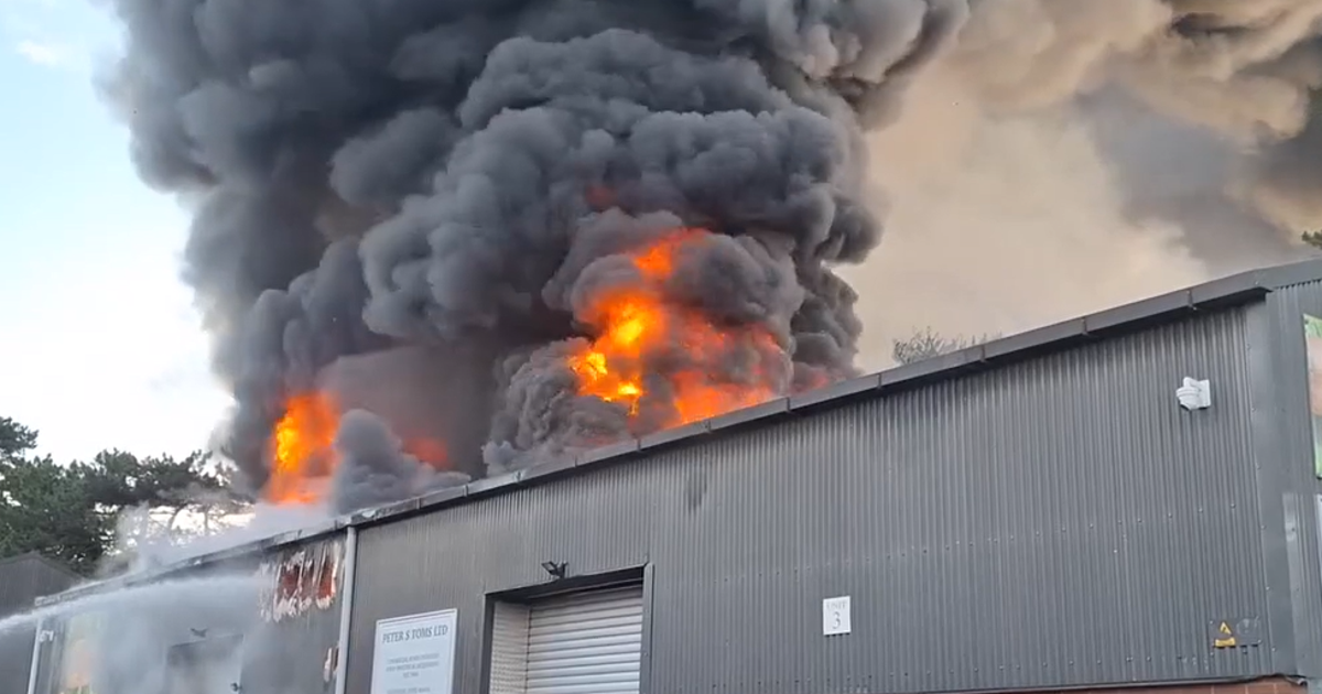 Fire destroys mini-zoo, killing all animals inside
