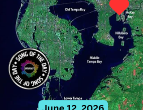 SOTD 6/12/26: Bus to Tampa Bay by Tom Petty & The Heartbreakers