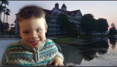 414 alligators removed from Disney World since toddler’s death 10 years ago