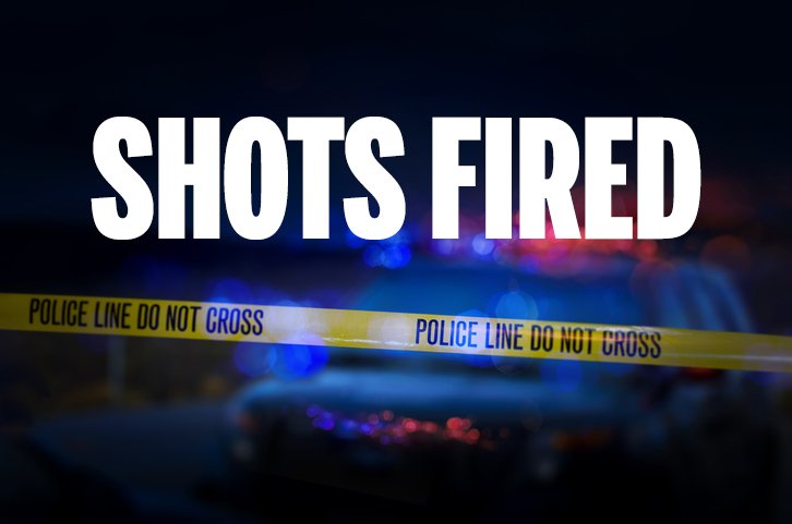 Police are investigating shots being fired early Sunday on North Clay Avenue in Jacksonville.