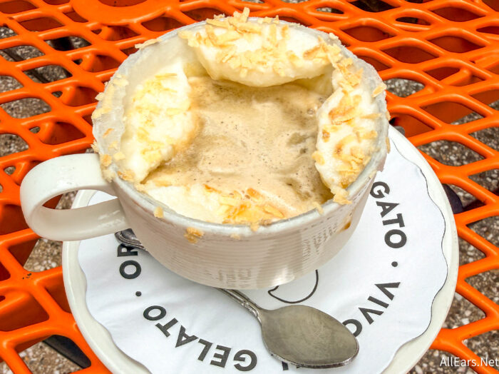 REVIEW: The $12 Coffee Dessert We Aren't Skipping in Disney Springs