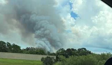 Florida Forest Service responds to 10-acre wildfire in Martin County