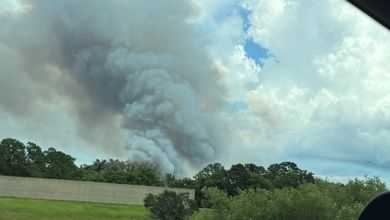 Florida Forest Service responds to 10-acre wildfire in Martin County