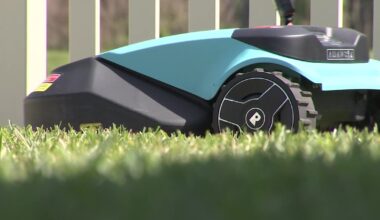What to know before buying a robotic lawn mower