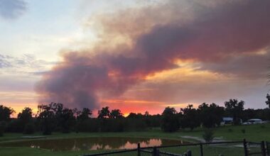Wildfire burns 600 acres at Lake Woodruff Wildlife Refuge in Volusia County