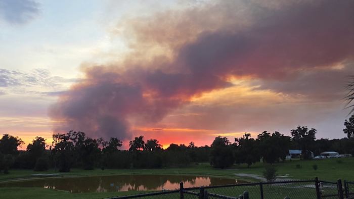 Wildfire burns 600 acres at Lake Woodruff Wildlife Refuge in Volusia County