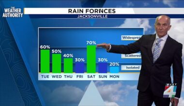 Rain brings relief as gardens thrive
