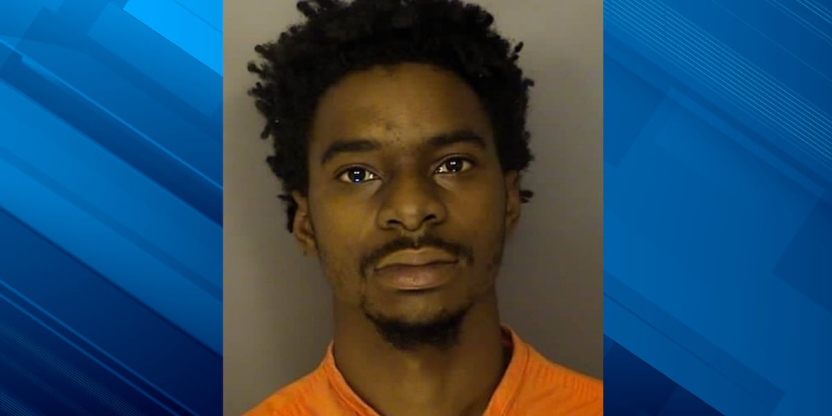 Florida man pleads guilty in one of Horry County’s largest stolen check schemes