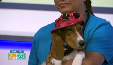 Earnest Hemingway is all ears and ready for his new family