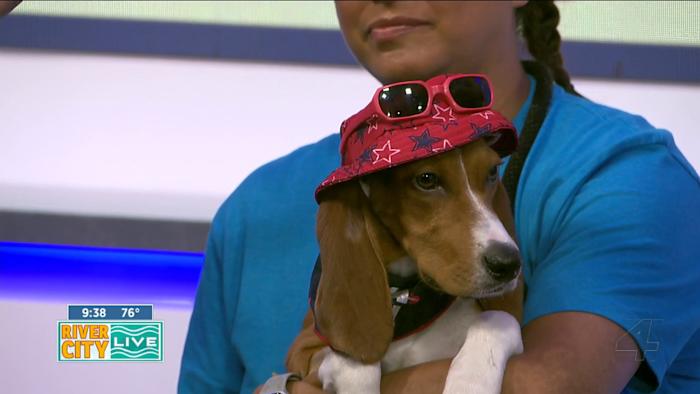 Earnest Hemingway is all ears and ready for his new family