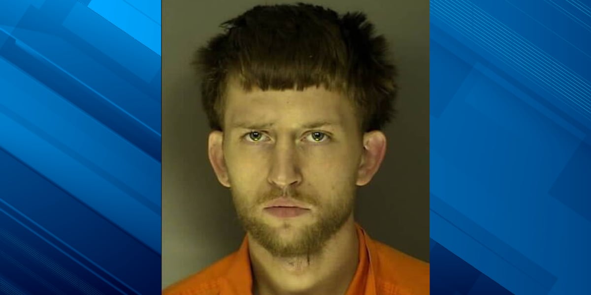 Man pleads guilty to sexually assaulting child in Horry County