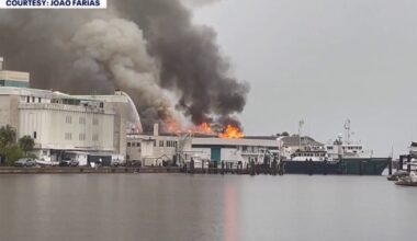 USF marine science research destroyed in St. Pete lab fire caused by lightning strike