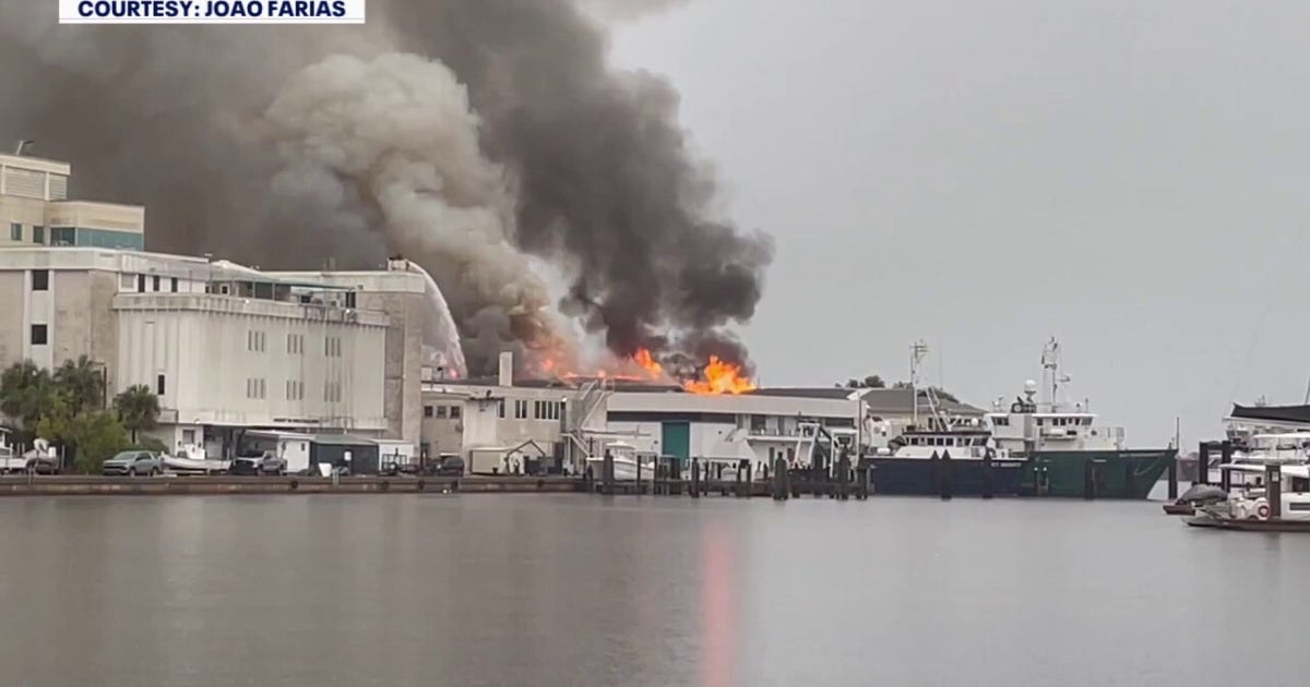 USF marine science research destroyed in St. Pete lab fire caused by lightning strike