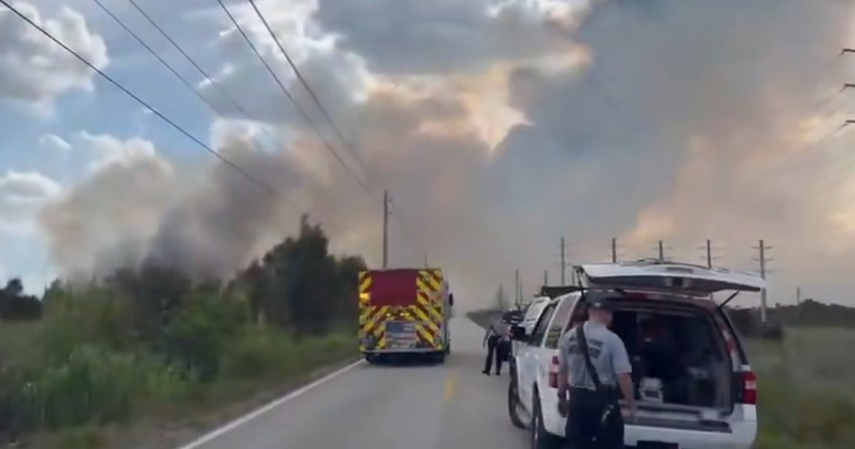Wildfires Ravage 8,000 Acres in Miami-Dade: Impact Felt by Residents in Hialeah, Doral, and Hialeah Gardens