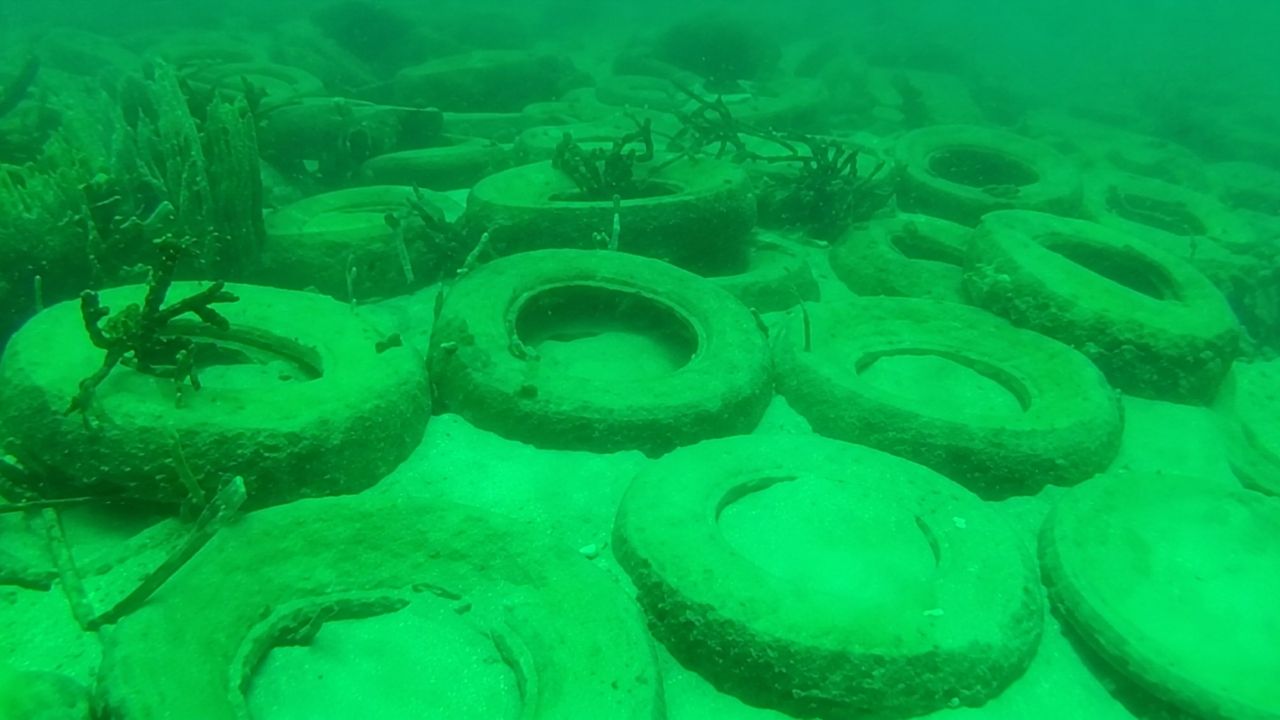 Tires in the ocean in Fort Lauderdale become a failed artificial reef, hit corals and generate cleanup.