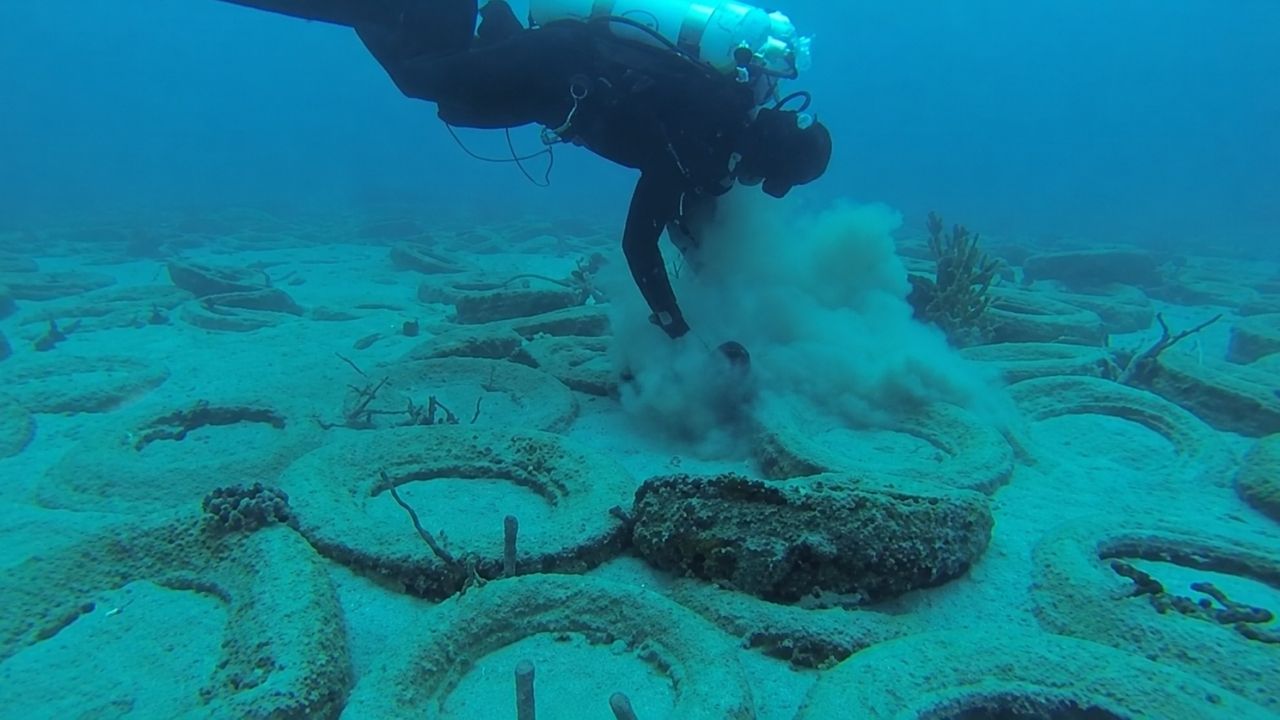 Tires in the ocean in Fort Lauderdale become a failed artificial reef, affecting corals and generating cleanup.