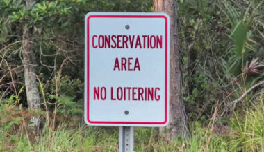 Orange County proposes ‘Hopetown’ community for people with disabilities — and neighbors are concerned