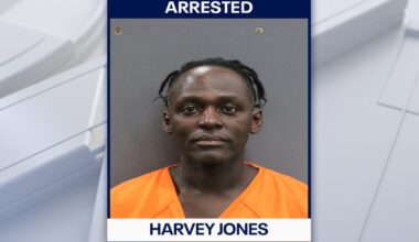 Hillsborough County man arrested, accused of leaving dog to die in extreme heat: HCSO