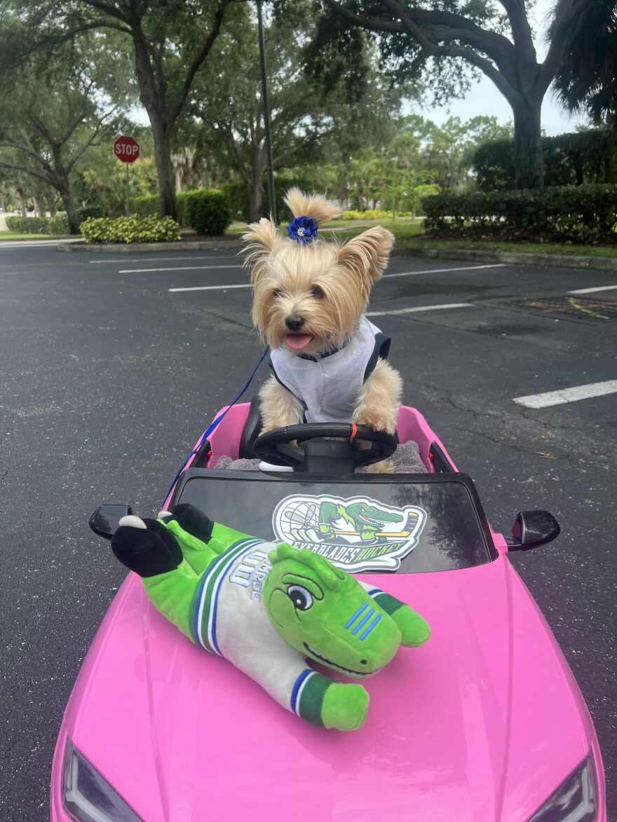 Bella, pictured in her motorized Ferrari, is a Florida Everblades fan.