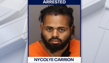 Florida man arrested after leading authorities on chase, crashing SUV into pond: FHP