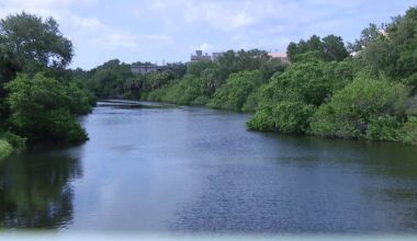 Five Pinellas County waterways to get $29 million in hurricane repairs