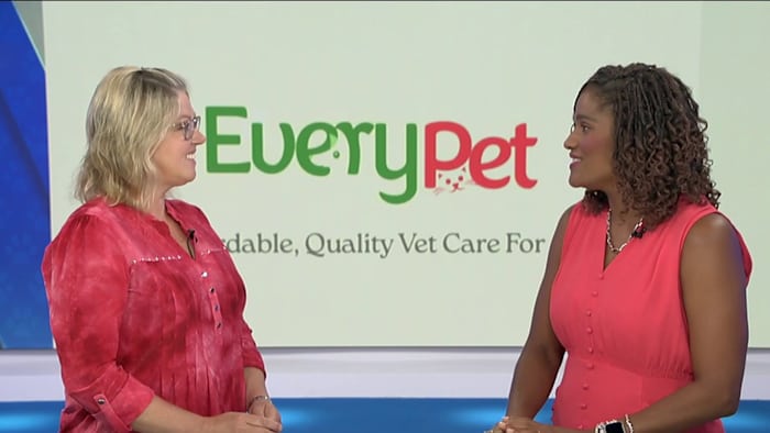 The importance of help for spaying & neutering during kitten season
