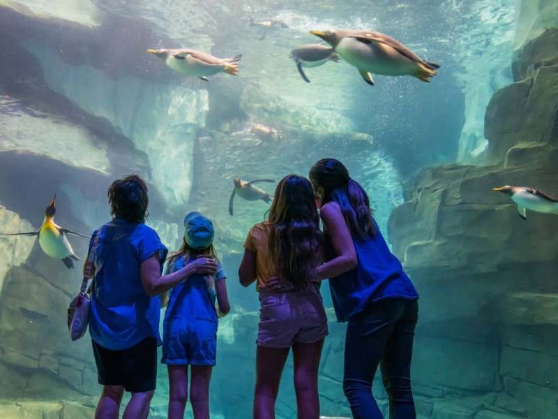 SeaWorld Orlando kicks off Fourth of July festivities and deals