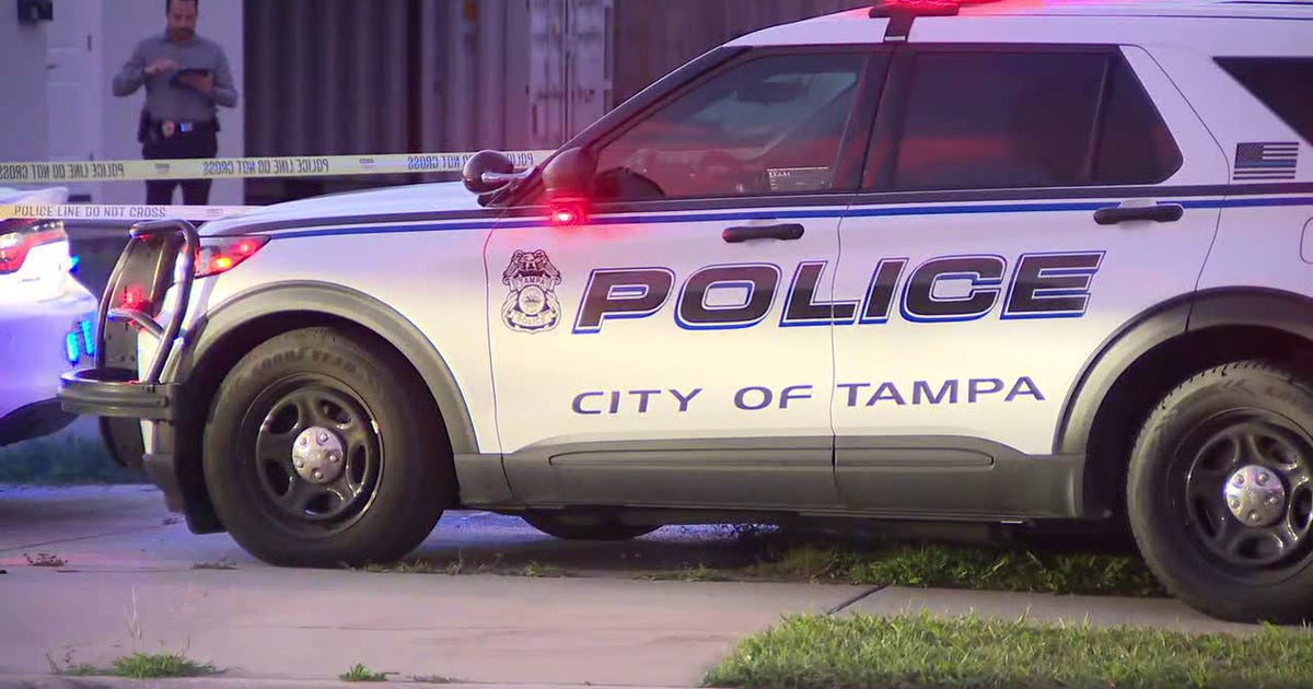 Suspect arrested for murder, robbery after deadly beating in Tampa: Police