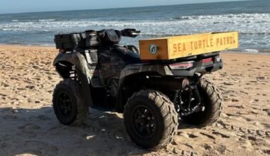 Flagler Turtle Patrol ATV stolen, deputies say