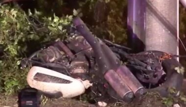 Rider dies when motorcycle slams into concrete pole on Shad Road: JSO