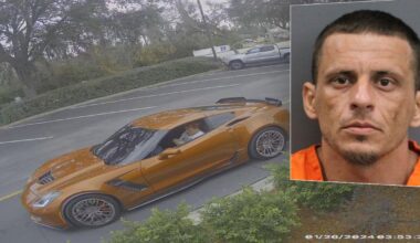 Fugitive arrested in Hillsborough County after years on the run: HCSO