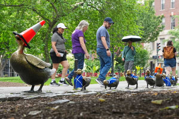 Scotland's fans left the Boston landmark "mother mallard & her ducklings" bronze sculpture decorated with Scottish soccer shirts at a park in the center of Boston, Mass., Monday, June 22, 2026. (AP Photo/Martin Meissner)
