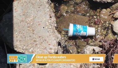 NEFAR invites the community to participate in Florida Waterways Cleanup event