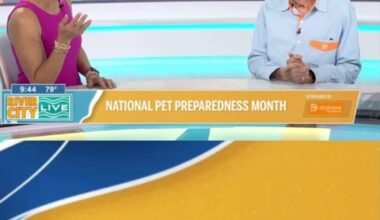 Pet safety tips during National Pet Preparedness Month 🐶