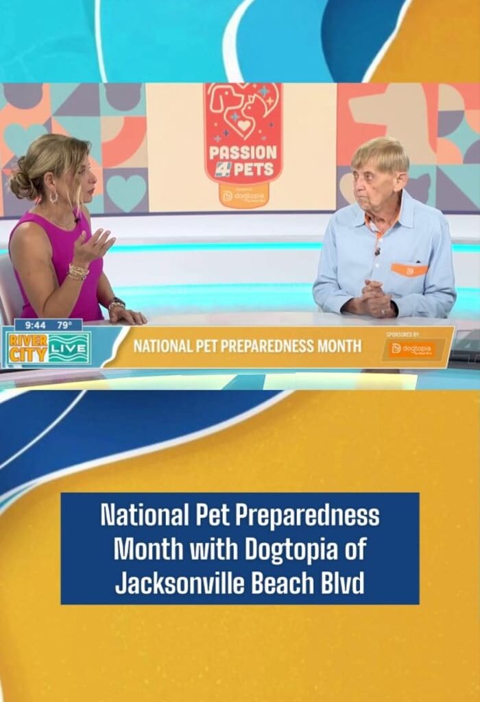 Pet safety tips during National Pet Preparedness Month 🐶