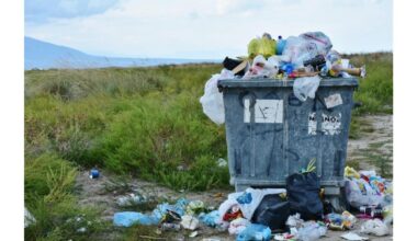 Broward County’s Growing Waste Challenge: Why Smarter Debris Solutions Matter in Fort Lauderdale