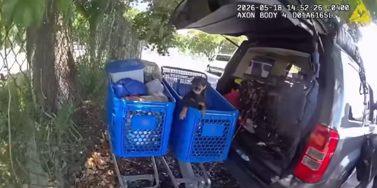 Florida officers rescue 24 dogs in hot car with no food, water