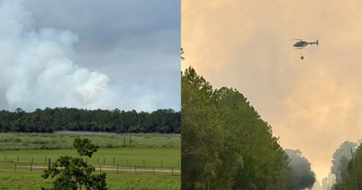 Volusia County Wildfires: Dual 250-acre brush fires fully contained in Maytown area