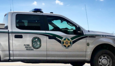 Snorkeler, child, woman bit by alligators in Central Florida