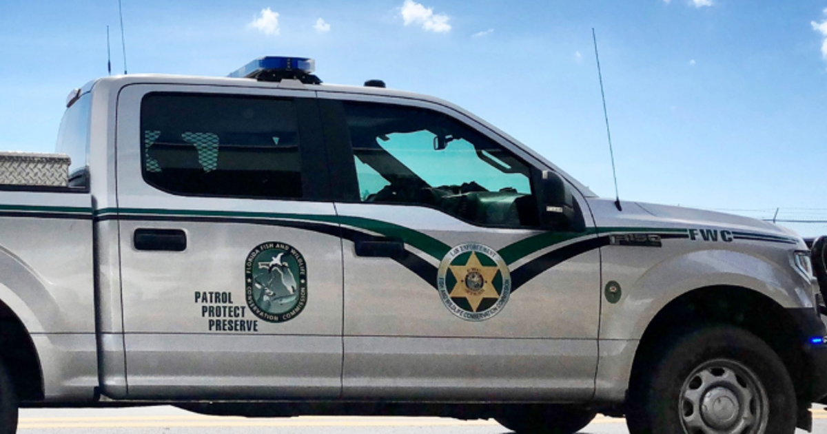 Snorkeler, child, woman bit by alligators in Central Florida