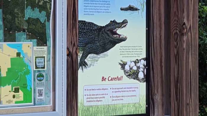Second gator attack in Central Florida this weekend after deadly bite in Seminole County