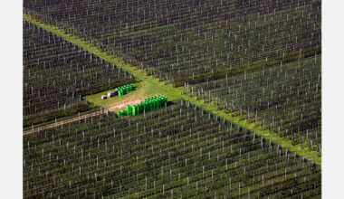 Florida growers face rising costs as farmland continues to decline