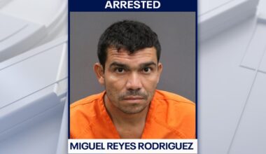 Hillsborough County man accused of fatally shooting neighbor's dog after child bitten: HCSO
