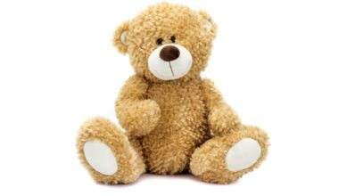American Legion District 13 accepting donations for July Teddy Bear Run | News, Sports, Jobs