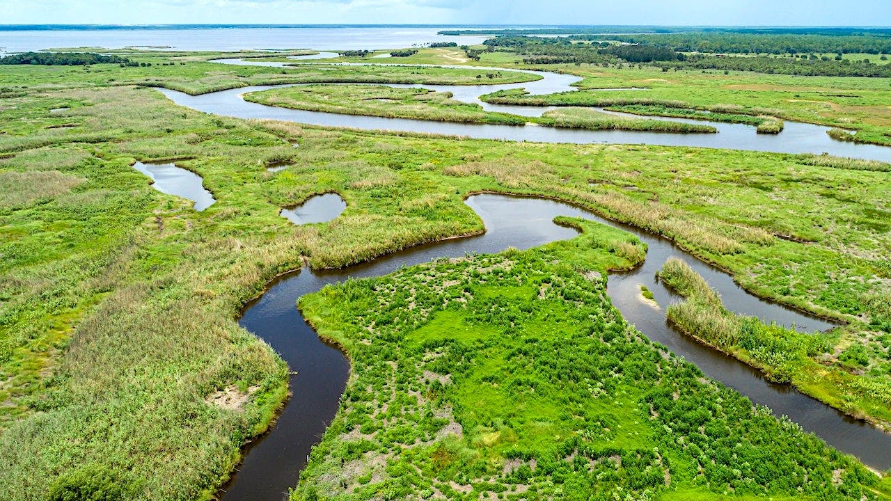 Florida woman dies in fatal alligator attack on Econlockhatchee River