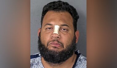 Florida man hiding from law enforcement following hit-and-run crash captured after calling Uber for ride: HCSO